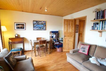 Casa Torreons Daire Puigcerdà Dış mekan fotoğraf